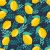 847_Sunny Lemons.webp