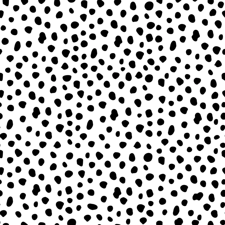 924_Pebble Scatter.webp