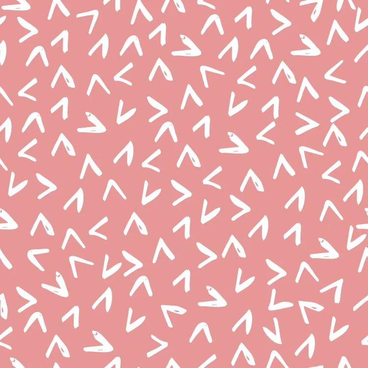 934_Coral Arrows.webp