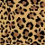 1024_Safari Shadow.webp