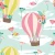 1134_Balloon Garden.webp