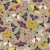 1203_Olive Moth.webp