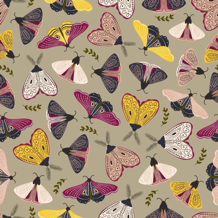 1203_Olive Moth.webp
