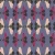 1207_Dusky Wings.webp