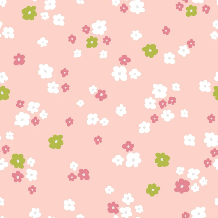 1220_Cotton Daisy.webp