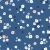 1223_Denim Daisies.webp