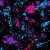 11_Cosmic Splash.webp