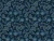 65_Midnight Garden.webp