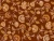 79_Amber Garden.webp