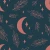 218_Midnight Moon.webp