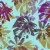 1279_ropical Shadows.webp