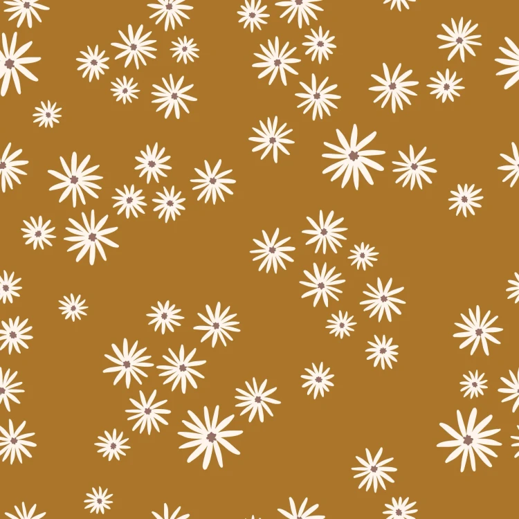 1353_Amber Daisies.webp