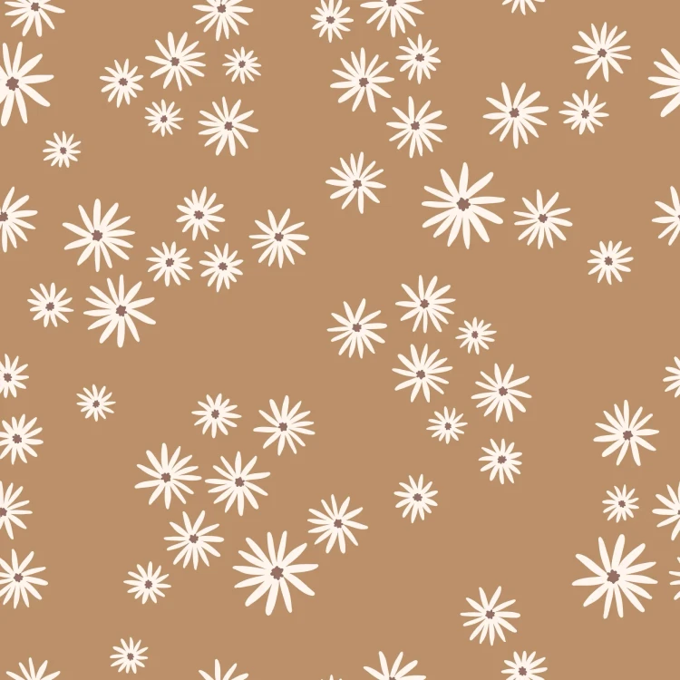 1355_Toffee Daisies.webp