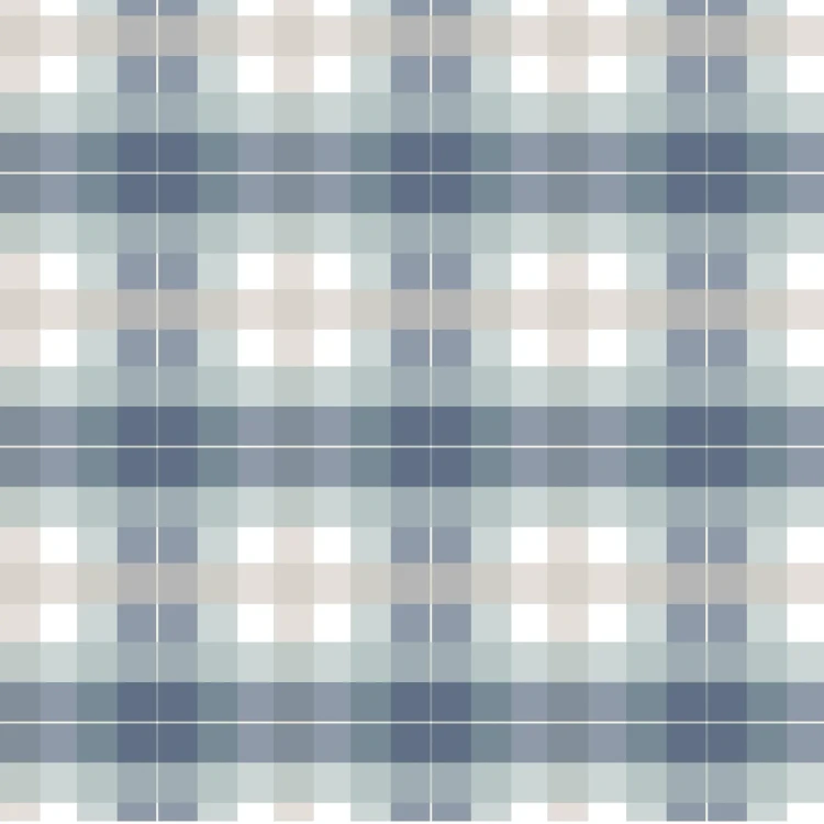735_Mist Plaid.webp