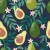 848_Tropical Avocado.webp