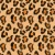 1025_Leopard Spots.webp