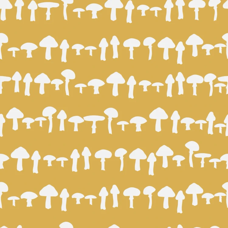 1065_Mushroom Trail.webp