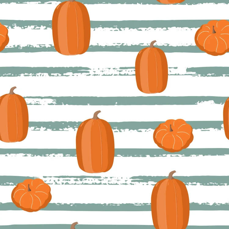 1066_Pumpkin Stripes.webp