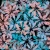 60_Midnight Bloom.webp
