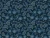 65_Midnight Garden.webp