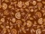 79_Amber Garden.webp