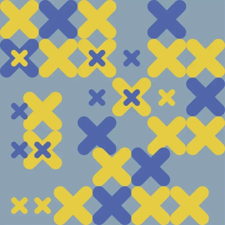 110_Playful X.webp