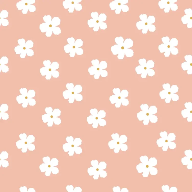 151_Peach Daisy.webp