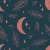 218_Midnight Moon.webp