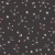 304_Moon Trails.webp