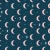 411_Night Moons.webp