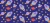 424_Rocket Paws.webp