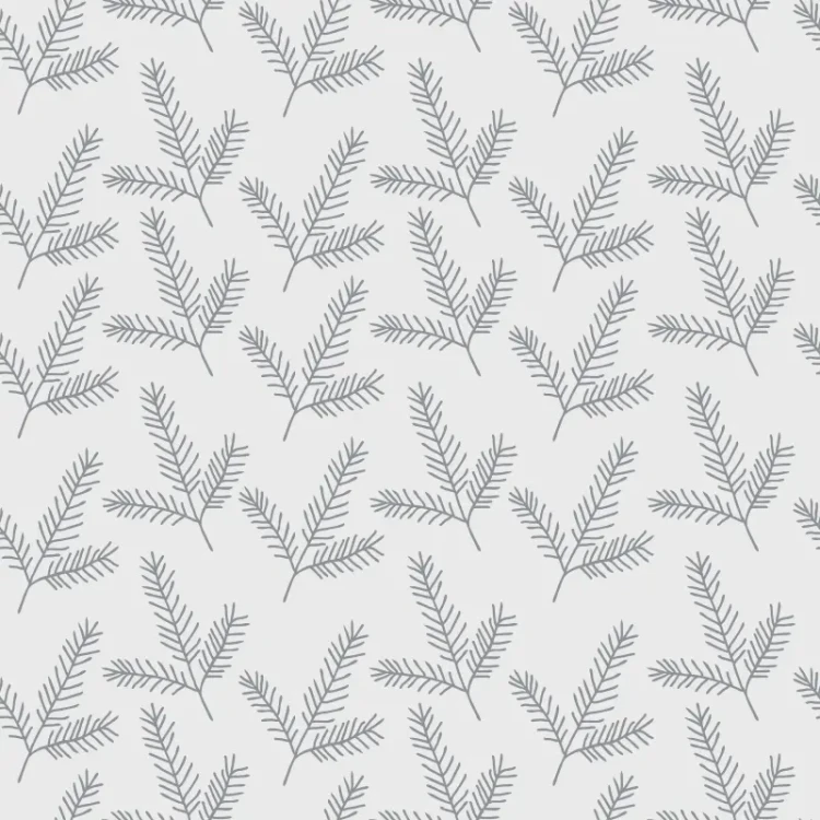 452_Silver Pine.webp