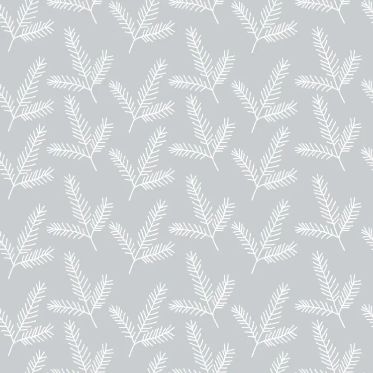 454_White Spruce.webp