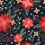 462_Poinsettia Night.webp