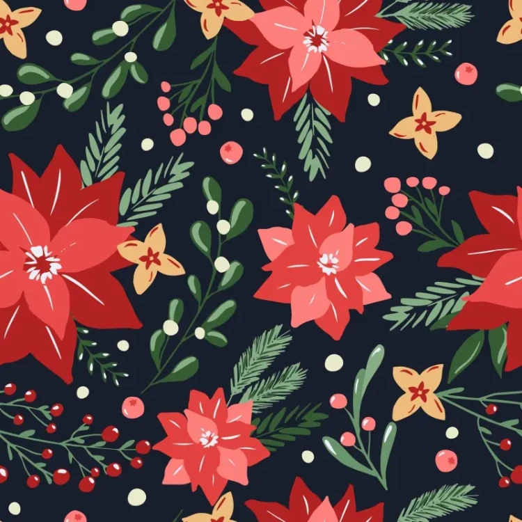 462_Poinsettia Night.webp
