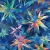 487_Cosmic Stars.webp