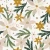 1324_Golden Poinsettia.webp