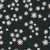 1339_Midnight Daisies.webp