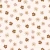 1340_Cocoa Daisies.webp