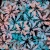 502_Shadow Florals.webp