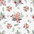 531_Cotton Noel.webp