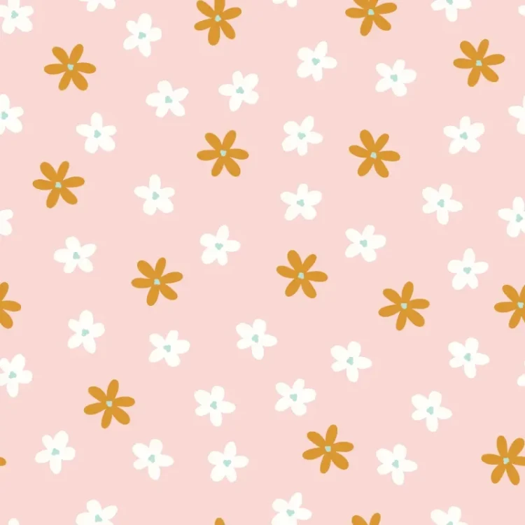 582_Blush Daisies.webp