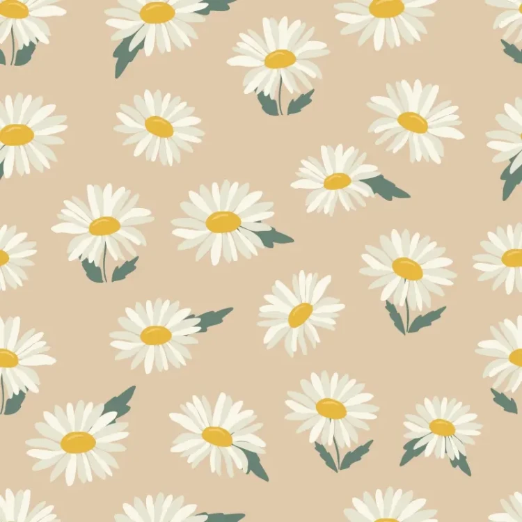 641_Daisy Linen.webp