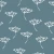 687_White Umbels.webp