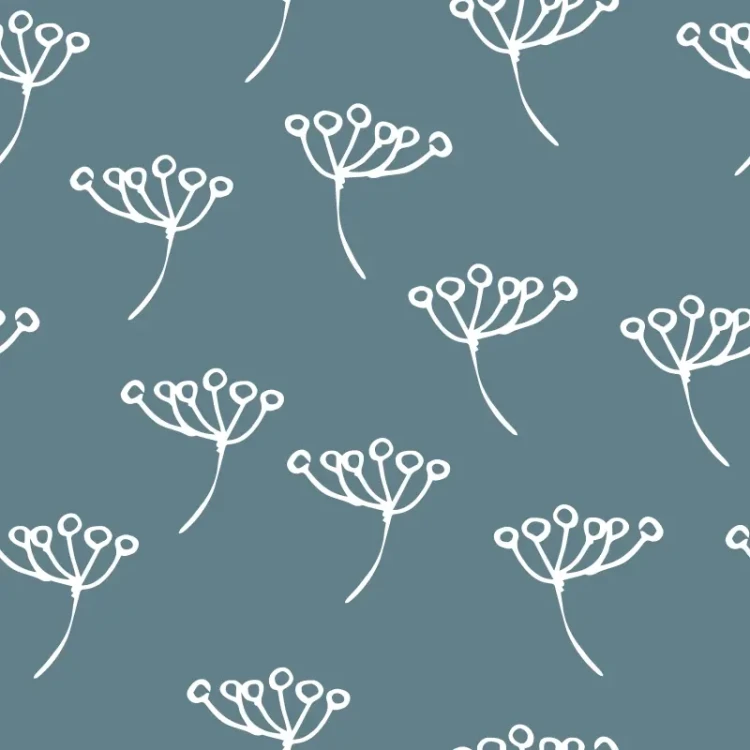 687_White Umbels.webp