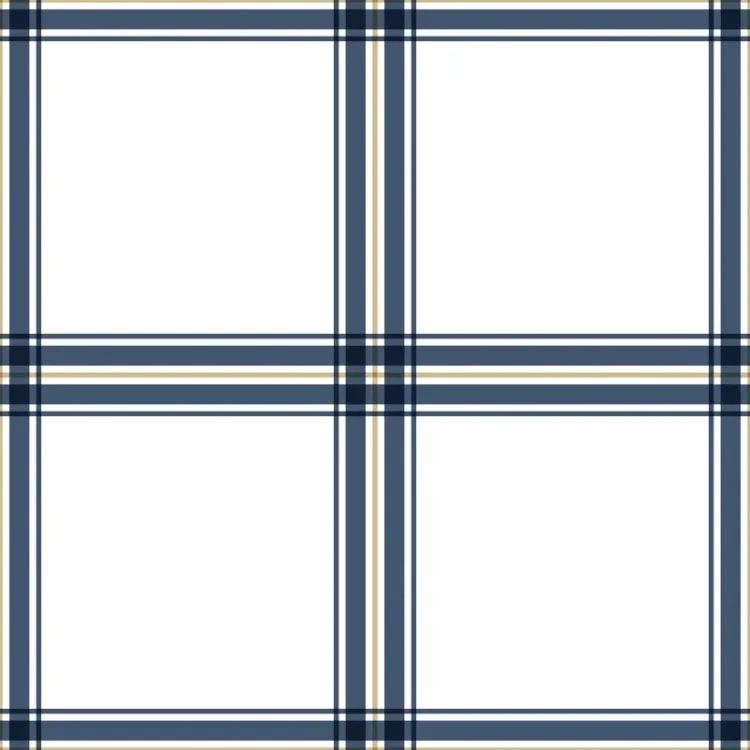 699_Classic Check.webp