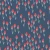 714_Coral Tulip.webp