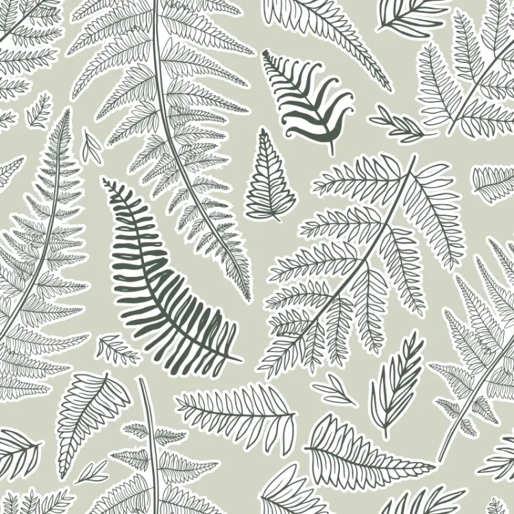 787_Eucalyptus Fronds.webp