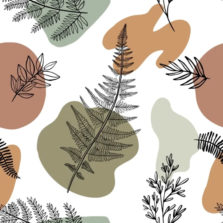796_Fern Forms.webp