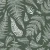 797_Pine Fronds.webp